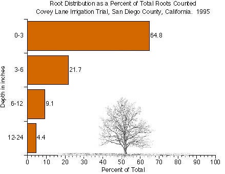 Root Distribution as a percent of Total Roots Counted