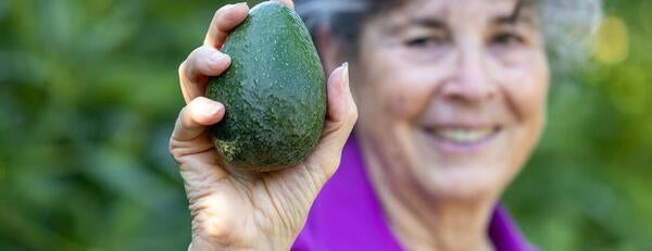 Mary Lu Arpaia with Avocado