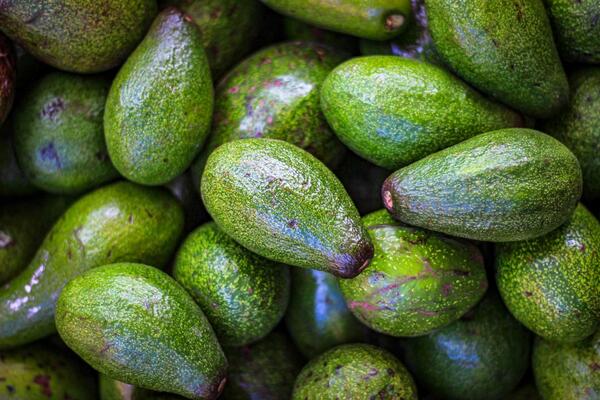 avocados (c) Hitoshi Namura unsplash